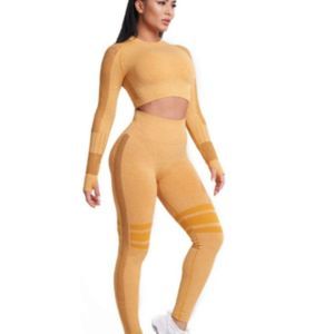 Women 2 Piece Yoga Fitness Workout Sets